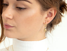 Load image into Gallery viewer, Pearl Sea Shell hoops
