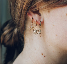 Load image into Gallery viewer, Sea Starfish hoops
